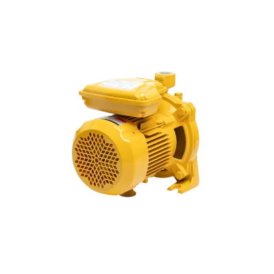 ปั๊มน้ำหอยโข่ง มิตซูบิชิ MITSUBISHI รุ่น ACH-755S ขนาด 1 แรงม้า ชนิดแรงดันสูง มาตรฐาน IP55 กันฝุ่น กันน้ำ 