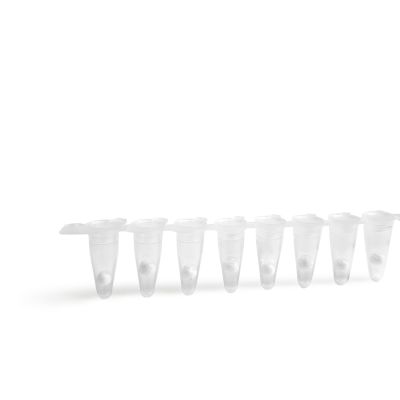 ExAmplex COVID-19 PCR 3-gene Lyo kit