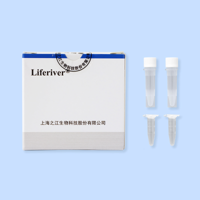 Coxsackie Virus A6 Real Time RT-PCR Kit