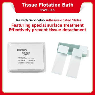 Tissue Flotation Bath