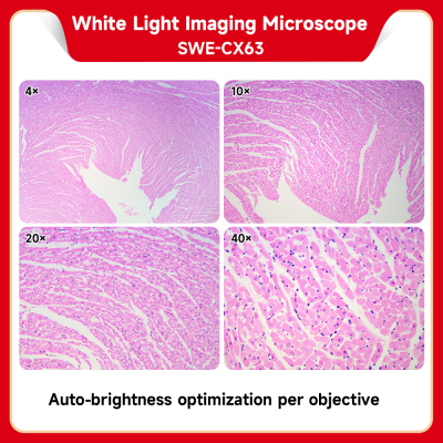 Brightfield Microscope
