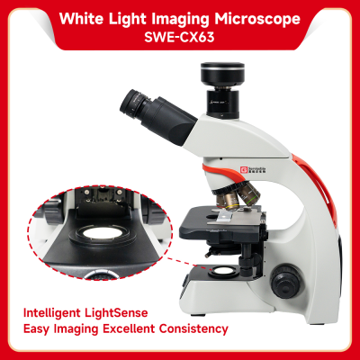 Brightfield Microscope