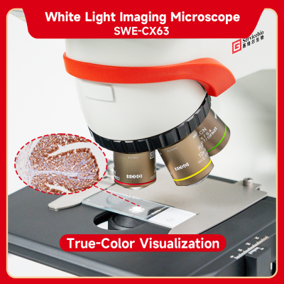 Brightfield Microscope