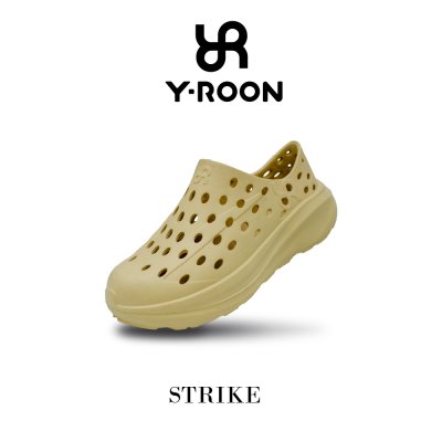 Y-ROON Strike