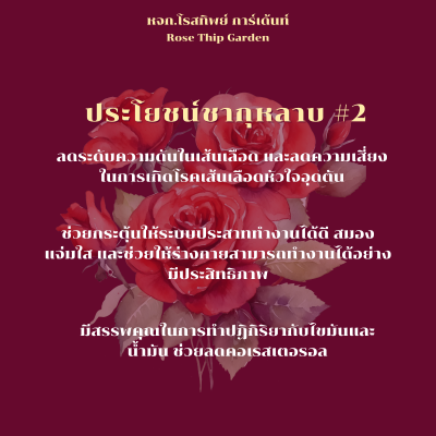 ประโยชน์-กุหลาบแห้ง-mon