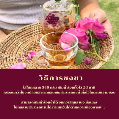การชงชา-ชากุหลาบเพื่อสุขภาพ