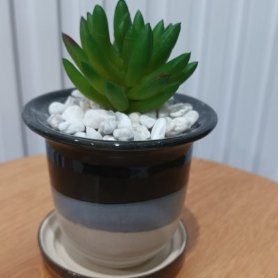 แคคตัสปลอมต้นไม้ประดิษฐ์ในกระถางเซรามิก Artificial cactus in a ceramic pot.