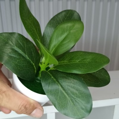 ต้นไม้ปลอมขนาดเล็กกระถางพลาสติกสีขาว 3 นิ้ว Small artificial plant