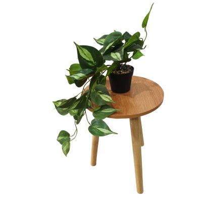 ต้นพลูบราซิลปลอมประดิษฐ์ในกระถางพลาสติก Artificial Brazilian philodendron in a plastic pot.