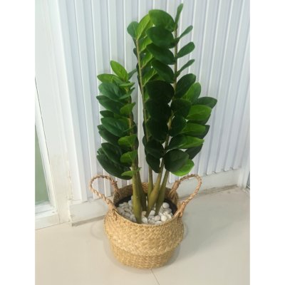 ต้นกวักมรกตประดิษฐ์ต้นไม้ปลอมเหมือนจริงแต่งบ้านแต่งร้านขนาดใหญ่ Artificial ZZ Plant