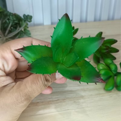 แคคตัสปลอมประดิษฐ์เฉพาะต้นไม้ Artificial cactus specifically for plants.