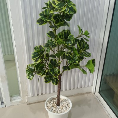 ต้นหัวใจเศรษฐี (สาริกาด่าง) ต้นไม้ปลอมประดิษฐ์กระถาง 9 นิ้ว Artificial Mistletoe Fig