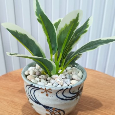 ต้นไม้ปลอมขนาดเล็กกับกระถางเซรามิก 3-3.5 นิ้ว Small artificial plant with a ceramic pot.