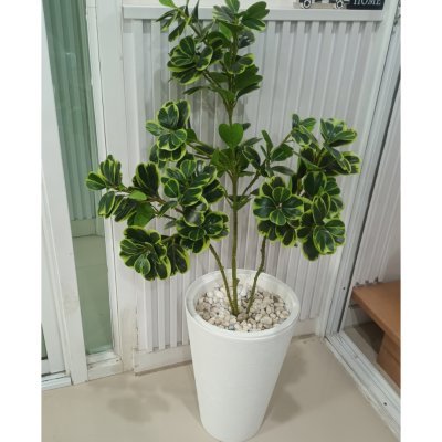 ต้นหัวใจเศรษฐี (สาริกาด่าง) ต้นไม้ปลอมประดิษฐ์ Artificial Mistletoe Fig