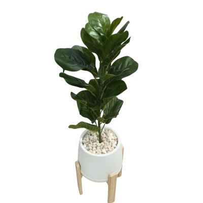 ต้นไทรใบสักปลอมขนาดใหญ่เหมือนจริง Artificial / Fake Fiddle Leaf Fig plant