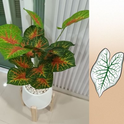 ต้นบอนสีปลอมขนาดใหญ่เหมือนจริง Artificial / Fake Fancy Leaf Caladium Plant