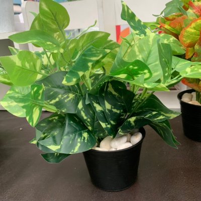 ต้นไม้ปลอมต้นไม้ประดิษฐ์ใบสวยงามเหมือนจริงแต่งบ้านแต่งร้าน Artificial plant, beautiful realistic leaves