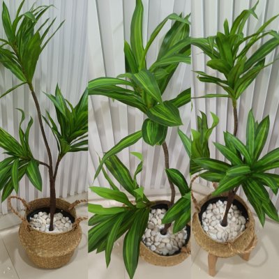 ต้นดราซีน่่าปลอมต้นไม้ประดิษฐ์ขนาดใหญ่ Artificial / Fake Dracaena plant ต้นดราซีน่่าปลอมต้นไม้ประดิษฐ์ขนาดใหญ่ Artificial / Fake Dracaena plant