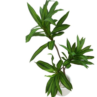 ต้นดราซีน่่าปลอมต้นไม้ประดิษฐ์ Artificial / Fake Dracaena plant