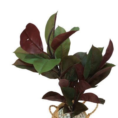 ต้นยางอินเดียปลอมประดิษฐ์ Artificial Rubber Tree