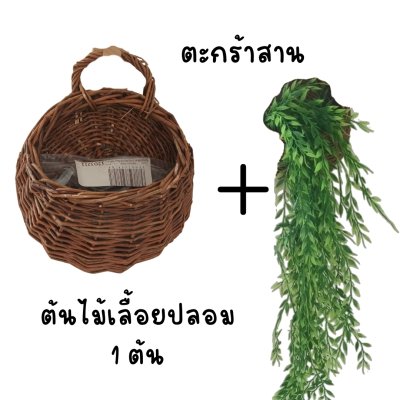 ต้นไม้เลื้อยปลอมประดิษฐ์ในตะกร้าหวายแขวนผนัง Artificial climbing plant in a wicker basket.