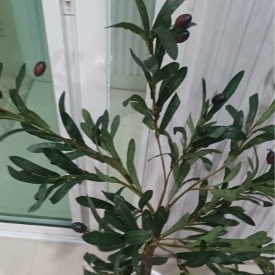 ต้นมะกอกโอลีฟปลอมประดิษฐ์ Artificial / Fake Olive Tree