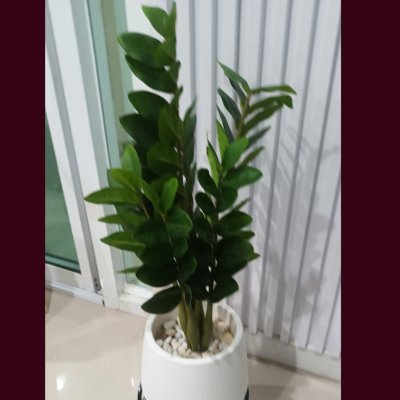 ต้นกวักมรกตประดิษฐ์/ปลอม Artificial ZZ Plant