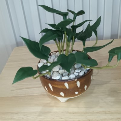 ต้นไม้เลื้อยปลอมประดิษฐ์ขนาดเล็กในกระถางเซรามิก 3.5 นิ้ว Artificial plant in ceramic pot.
