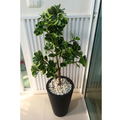 ต้นหัวใจเศรษฐี (สาริกาด่าง) ต้นไม้ปลอมประดิษฐ์ Artificial Mistletoe Fig