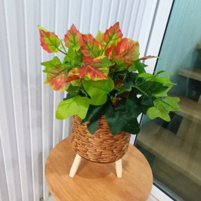 ต้นไม้ปลอมต้นไม้ประดิษฐ์ใบสวยงามเหมือนจริงแต่งบ้านแต่งร้าน Artificial plant, beautiful realistic leaves