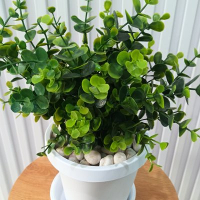 ต้นไม้ปลอมประดิษฐ์ใบเขียวกระถางขาว 6 นิ้ว Artificial green-leaf plant in a 6-inch white pot.