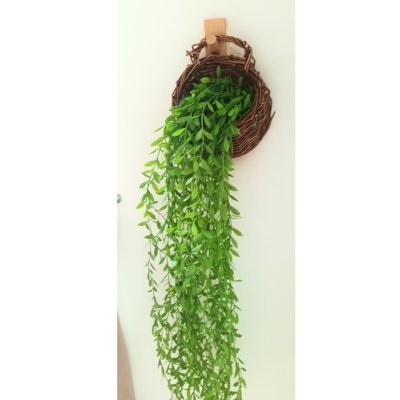 ต้นไม้เลื้อยปลอมประดิษฐ์ตะกร้าสาน Artificial climbing plant in woven basket