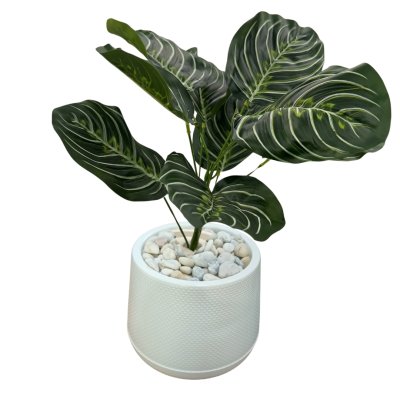 ต้นไม้ปลอมประดิษฐ์ใบสวยในกระถางเบลล่า7นิ้ว ต้นไม้ปลอมประดิษฐ์ใบสวยในกระถางเบลล่า7นิ้ว