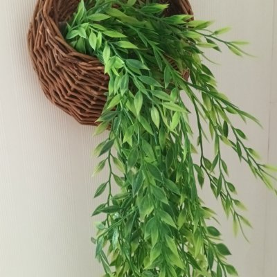 ต้นไม้เลื้อยปลอมประดิษฐ์ในตะกร้าหวายแขวนผนัง Artificial climbing plant in a wicker basket.