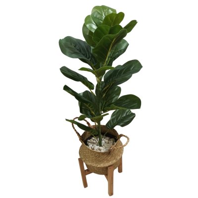 ต้นไทรใบสักปลอมขนาดใหญ่เหมือนจริง Artificial / Fake Fiddle Leaf Fig plant