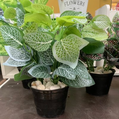 ต้นไม้ปลอมต้นไม้ประดิษฐ์ใบสวยงามเหมือนจริงแต่งบ้านแต่งร้าน Artificial plant, beautiful realistic leaves