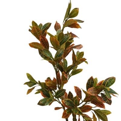 ต้นโกสนปลอมต้นไม้ประดิษฐ์ Artificial / Fake Croton Tree