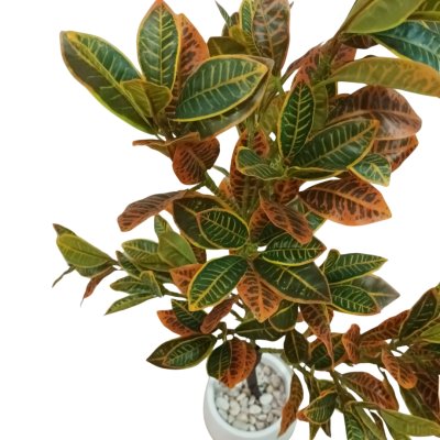 ต้นโกสนปลอมต้นไม้ประดิษฐ์ Artificial / Fake Croton Tree