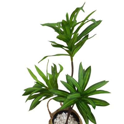 ต้นดราซีน่่าปลอมต้นไม้ประดิษฐ์ขนาดใหญ่ Artificial / Fake Dracaena plant
