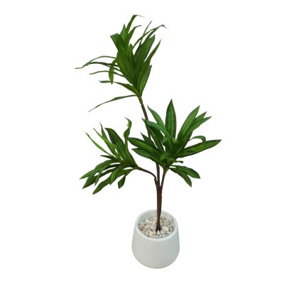 ต้นดราซีน่่าปลอมต้นไม้ประดิษฐ์ Artificial / Fake Dracaena plant