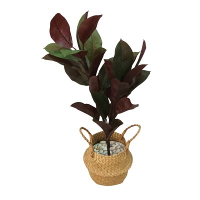 ต้นยางอินเดียปลอมประดิษฐ์ Artificial Rubber Tree