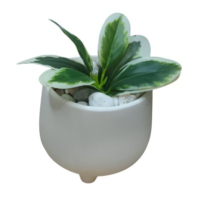 ต้นไม้ปลอมขนาดเล็กกระถาง 5" Small artificial plant with a 5-inch clay pot.