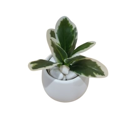 ต้นไม้ปลอมขนาดเล็กกับกระถางดินเผาทางนมวัว 4 นิ้ว Small artificial plant