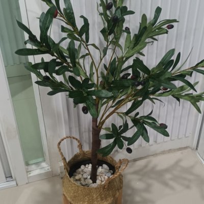 ต้นมะกอกโอลีฟปลอมประดิษฐ์ Artificial / Fake Olive Tree
