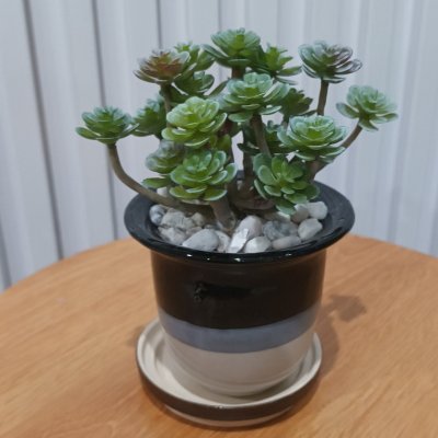 แคคตัสปลอมต้นไม้ประดิษฐ์ในกระถางเซรามิก Artificial cactus in a ceramic pot.