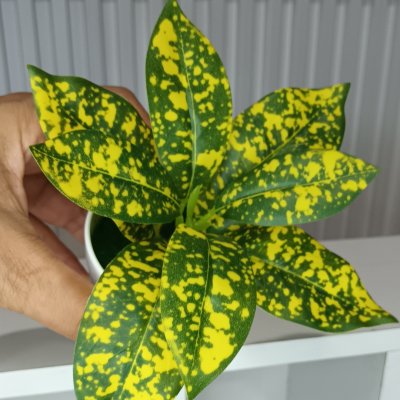 ต้นไม้ปลอมขนาดเล็กกระถางพลาสติกสีขาว 3 นิ้ว Small artificial plant