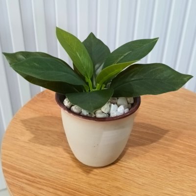 ต้นไม้ปลอมขนาดเล็กกับกระถางเซรามิก 3-3.5 นิ้ว Small artificial plant with a ceramic pot.