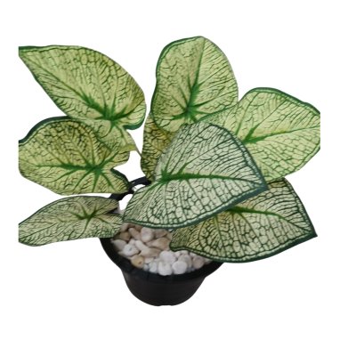 ต้นไม้ปลอมประดิษฐ์ใบลายใบสวยงามกระถาง 8 นิ้ว