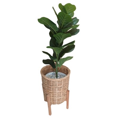 ต้นไทรใบสักปลอมขนาดใหญ่เหมือนจริง Artificial / Fake Fiddle Leaf Fig plant