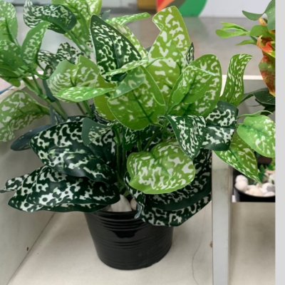 ต้นไม้ปลอมต้นไม้ประดิษฐ์ใบสวยงามเหมือนจริงแต่งบ้านแต่งร้าน Artificial plant, beautiful realistic leaves